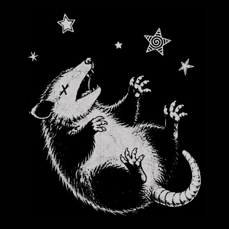Possum