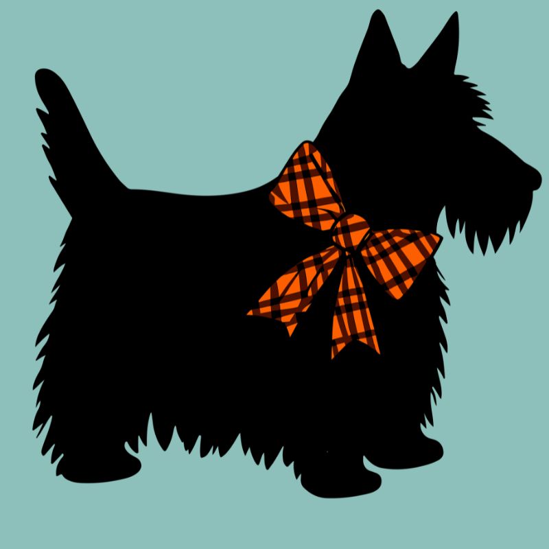 Terrier